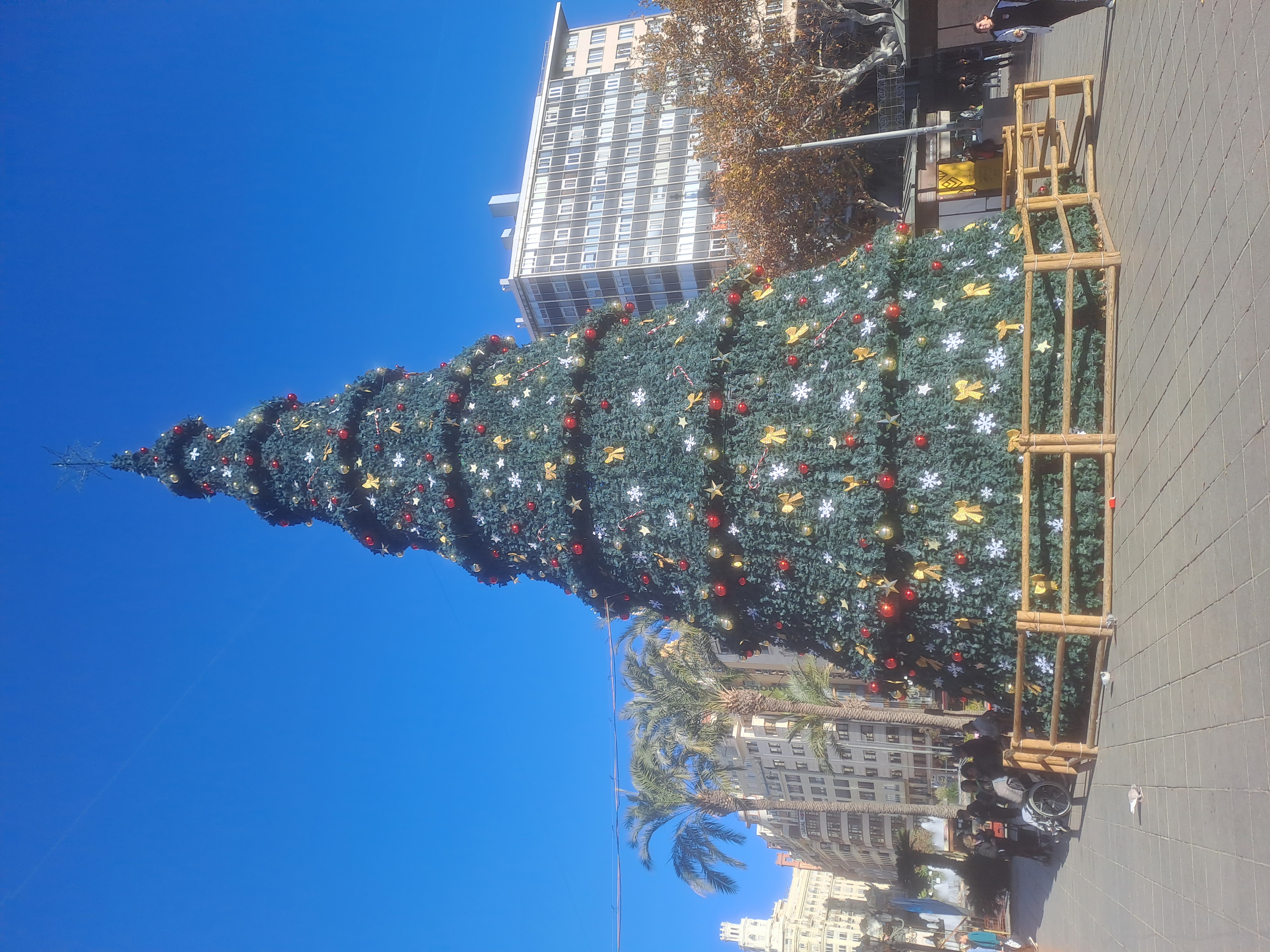 Christmas Tree in Ayunamiento Plaza